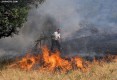Zjarri në qafën e Muzinës në Gjirokastër | Foto ngsa : LSA