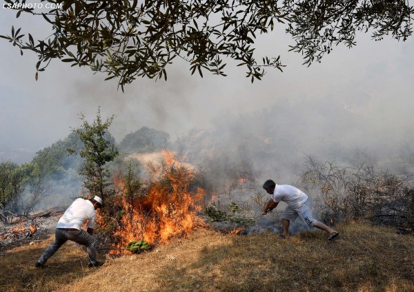 Zjarri në Malin e Muzinës në Qarkun Gjirokastër | Foto nga : LSA